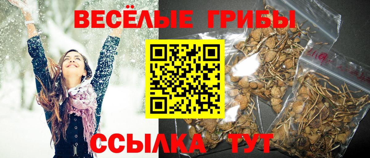 Псилоцибиновые грибы MAGIC MUSHROOMS Белгород
